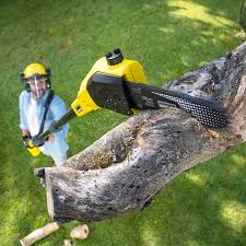 Best Tree Mulching  in Highpoint, OH