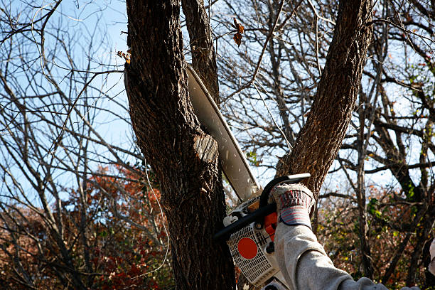 Best Soil Testing and Treatment  in Highpoint, OH