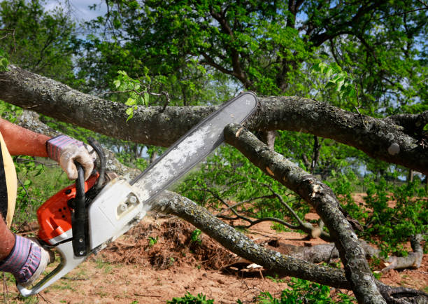 Best Aeration Services  in Highpoint, OH